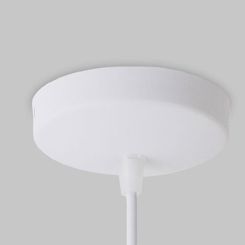 Colorful Iron Ceiling Light Fixture