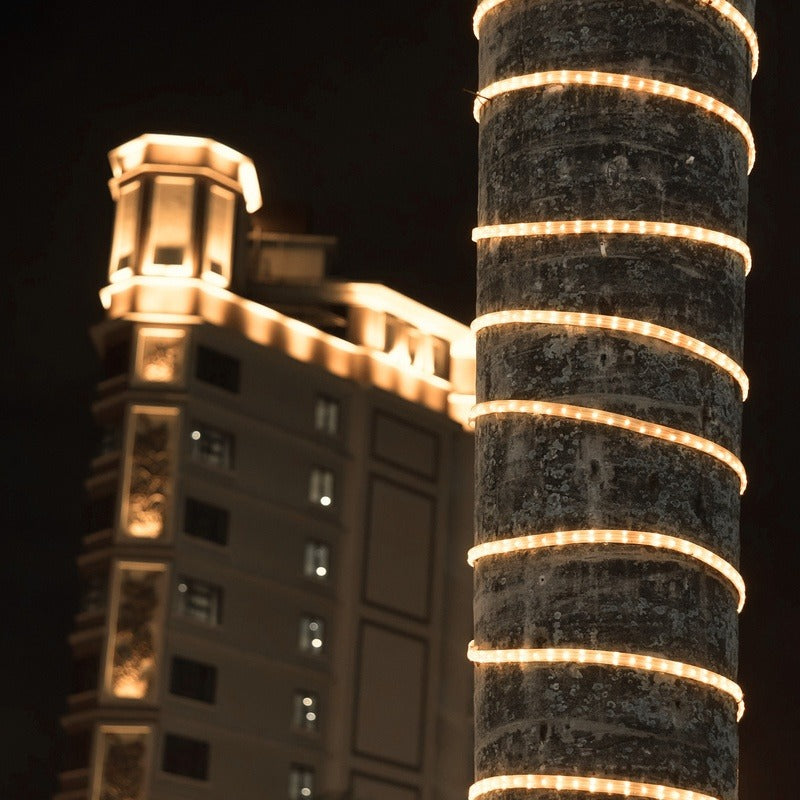 150' Cool White LED Rope Light  2-Wire 120 Volt