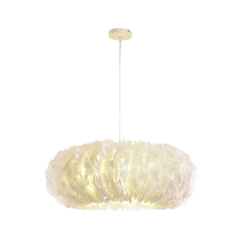 Nordic Ring Feather Chandelier White Fluffy Lamp Shade Pendant Light