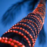 Load image into Gallery viewer, 150&#39; Cool White LED Rope Light  2-Wire 120 Volt